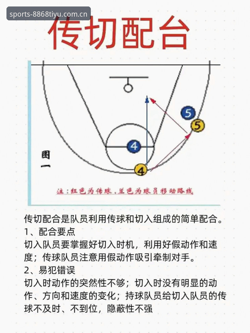 体育竞技必备实用指南：从观赛到互动的全方位提升技巧